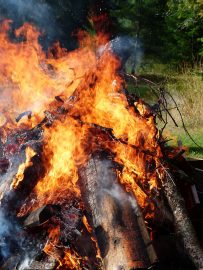 Picture of bonfire